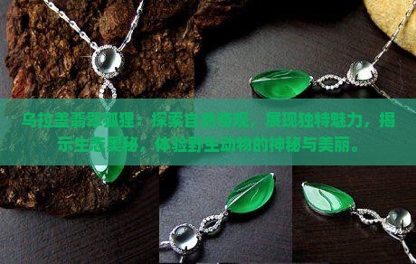 乌拉盖翡翠狐狸
