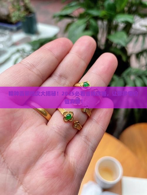 糯种翡翠是属于什么档次的品牌