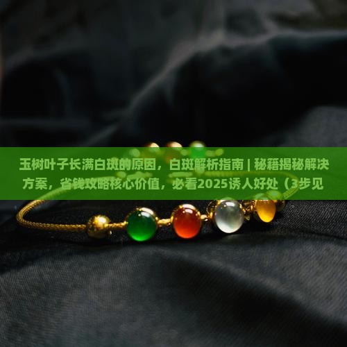 玉树叶子长满白斑的原因