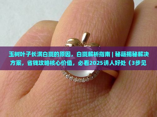 玉树叶子长满白斑的原因