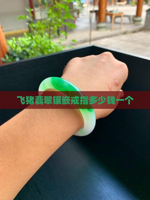 飞猪翡翠镶嵌戒指多少钱
