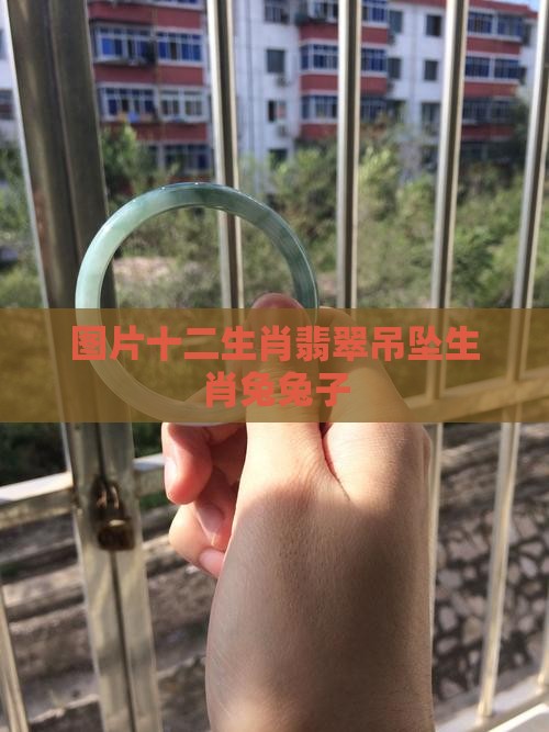 十二生肖翡翠吊坠生肖兔