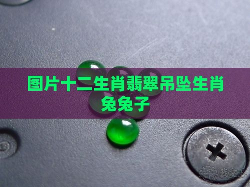 十二生肖翡翠吊坠生肖兔