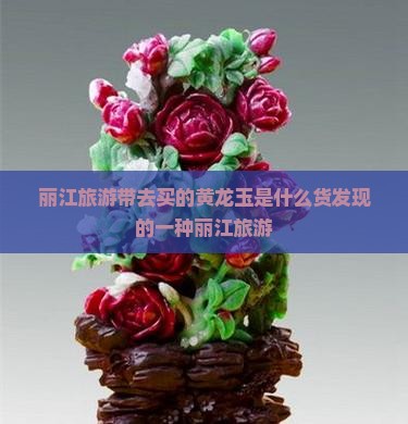 丽江旅游带去买的黄龙玉是什么货