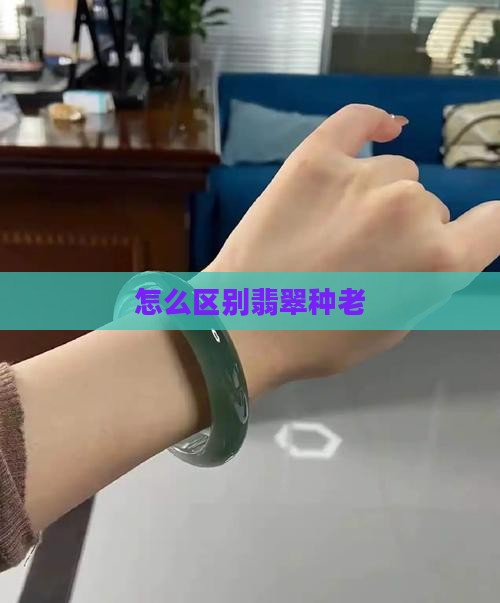怎么区别翡翠种老
