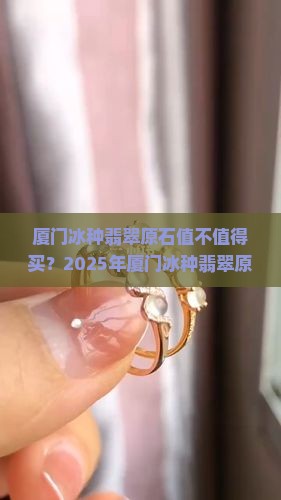 厦门冰种翡翠原石