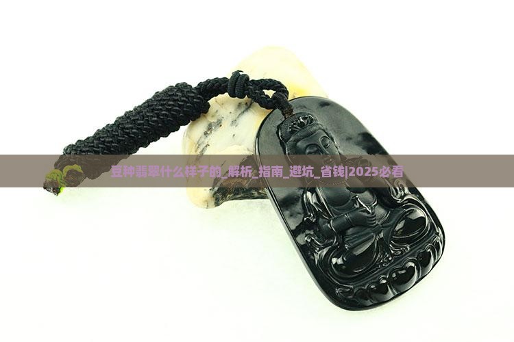 豆种翡翠什么样子的