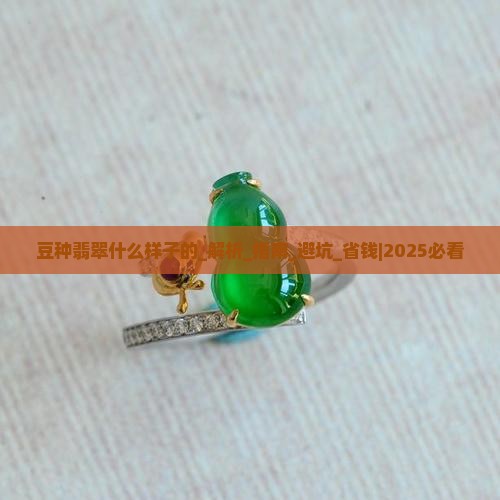 豆种翡翠什么样子的