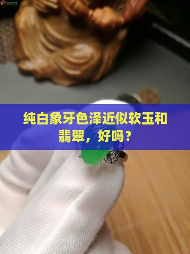 纯白象牙玉好吗