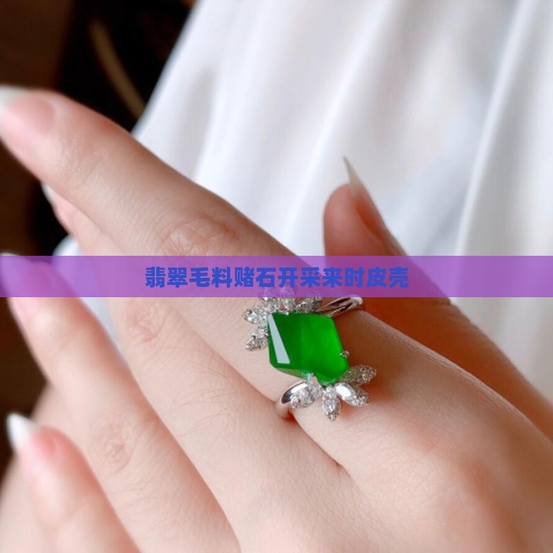 翡翠原石毛料外壳