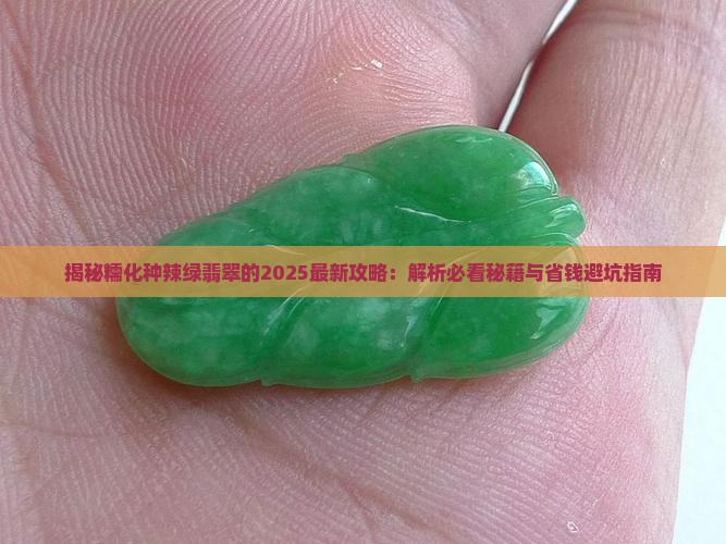 糯化种辣绿翡翠