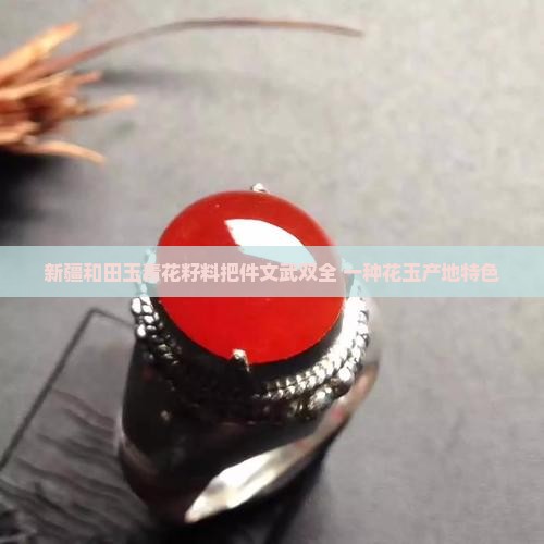 新疆和田玉青花籽料把玩文武双全