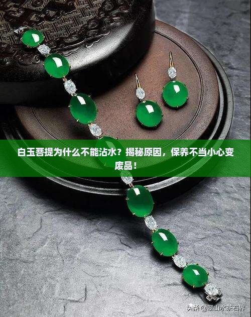 白玉菩提为什么不能沾水