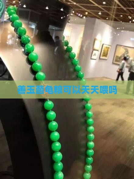 善玉菌龟粮可以天天喂吗