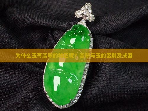为什么玉有翡翠的特征呢