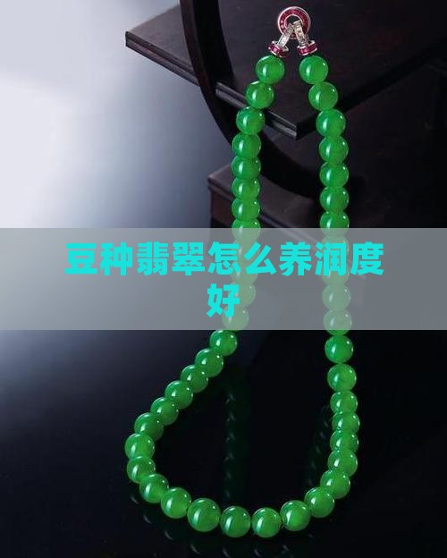 豆种翡翠怎么养润度好一点