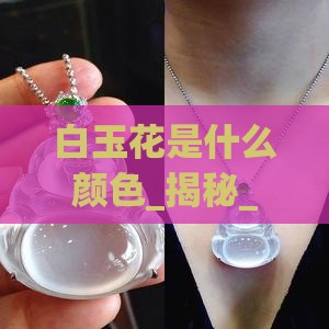 白玉花是什么颜色
