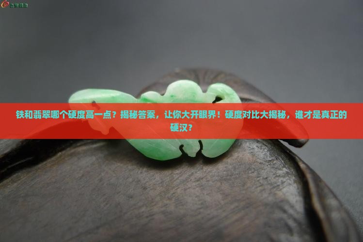 铁和翡翠哪个硬度高一点