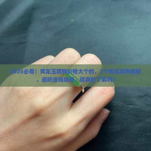 黄龙玉貔貅价格大个的