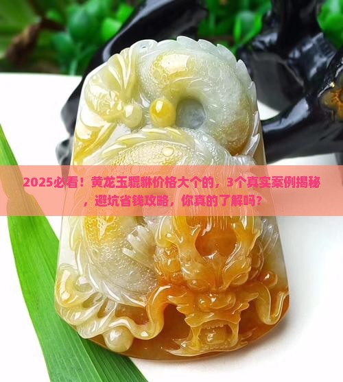 黄龙玉貔貅价格大个的