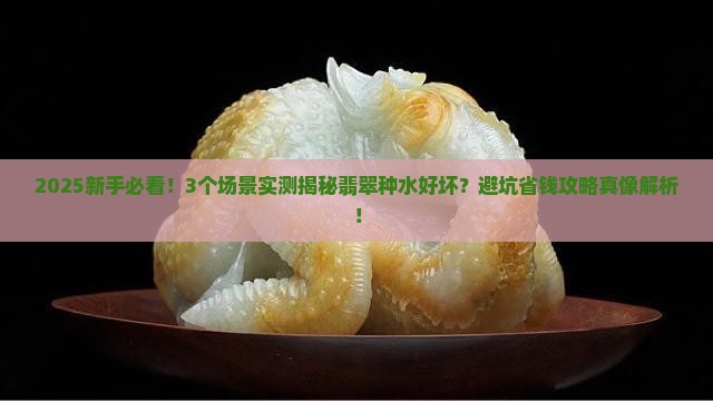 翡翠的种水怎么分辨好坏