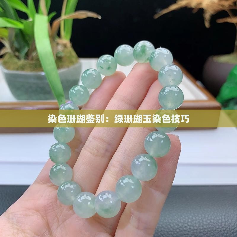 绿珊瑚玉染色