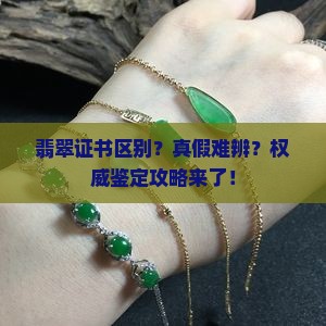 翡翠证书区别