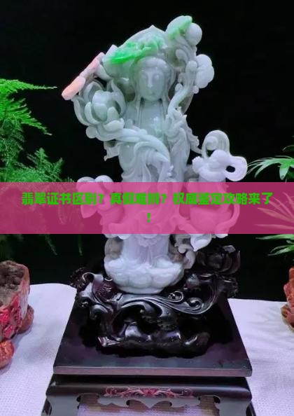 翡翠证书区别