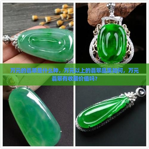 万元的翡翠是什么种