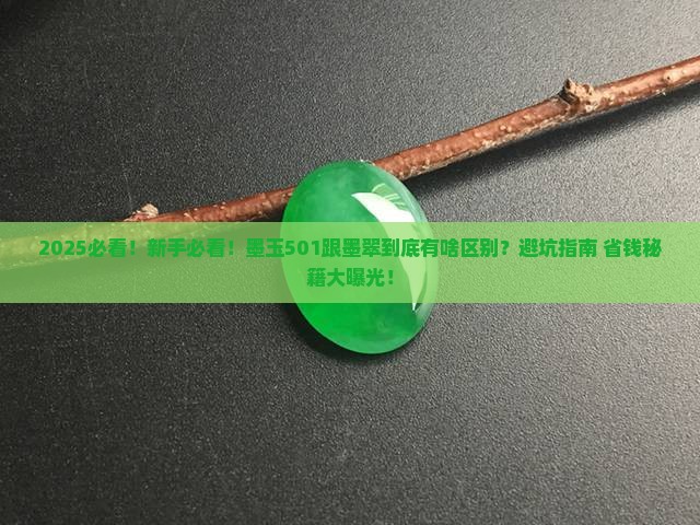 墨玉501跟墨翠有啥区别