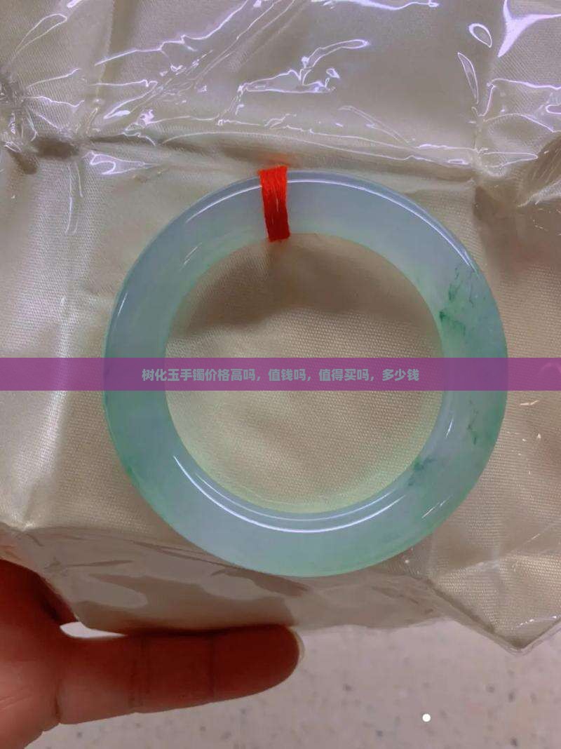 树化玉手镯价格高吗