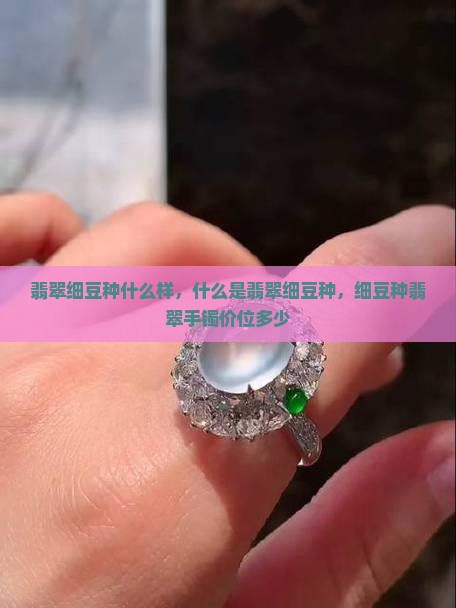 翡翠细豆种什么样