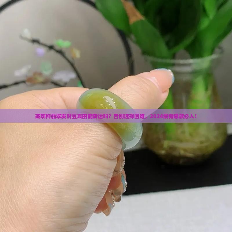玻璃种翡翠发财豆