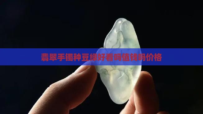 翡翠手镯种豆绿