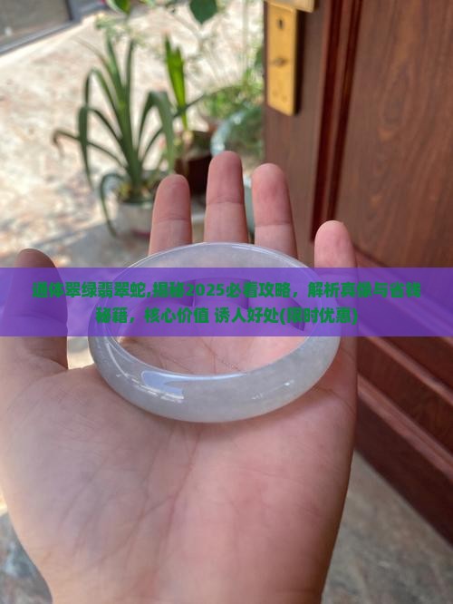 通体翠绿翡翠蛇