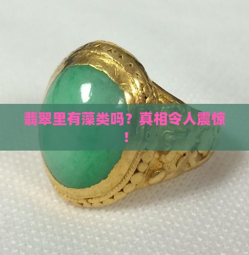 翡翠里有藻类吗