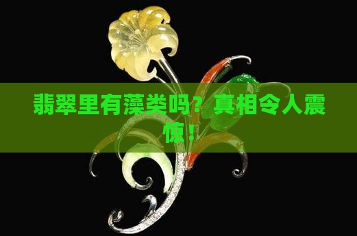 翡翠里有藻类吗