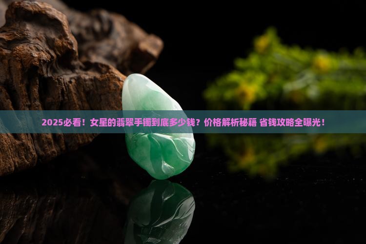 女星的翡翠手镯多少钱