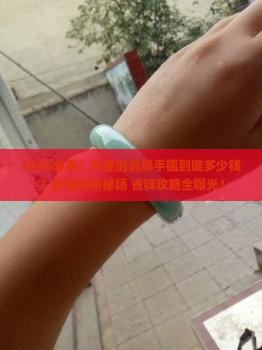 女星的翡翠手镯多少钱