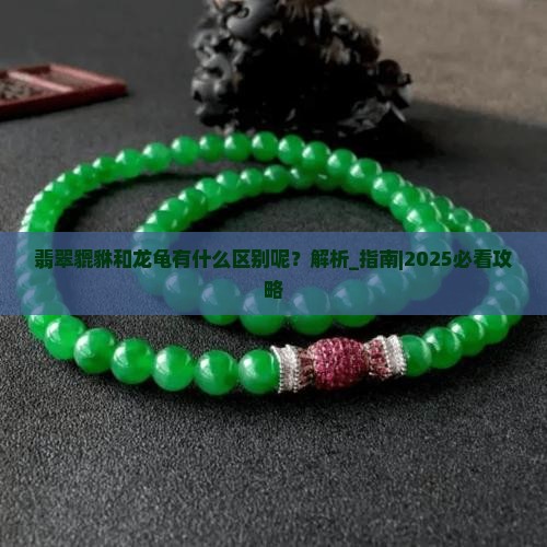 翡翠貔貅和龙龟有什么区别呢
