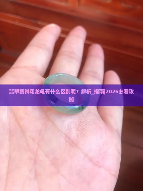 翡翠貔貅和龙龟有什么区别呢