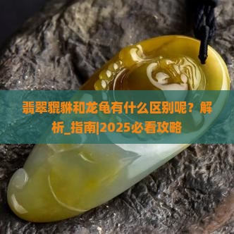翡翠貔貅和龙龟有什么区别呢