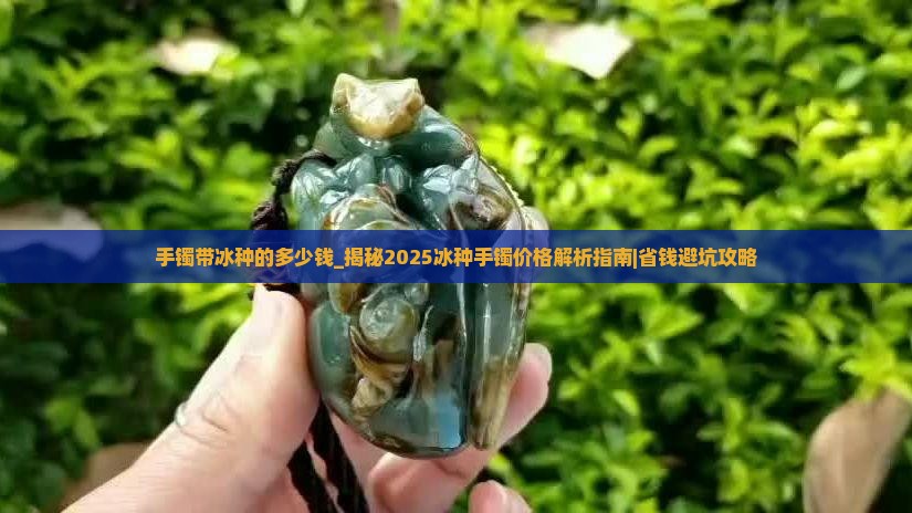 手镯带冰种的多少钱