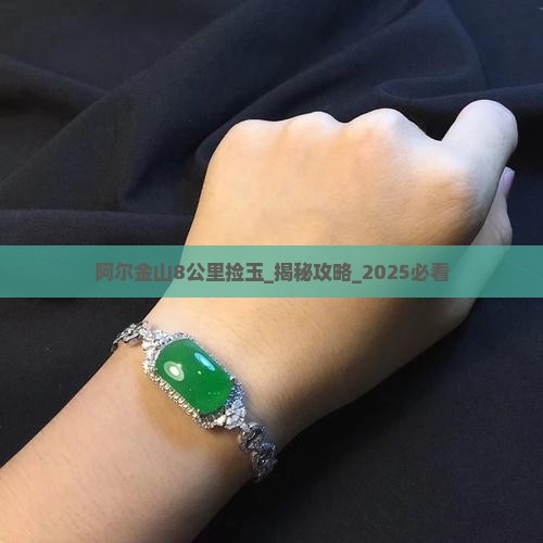 阿尔金山8公里捡玉