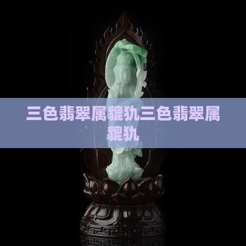 三色翡翠属貔犰