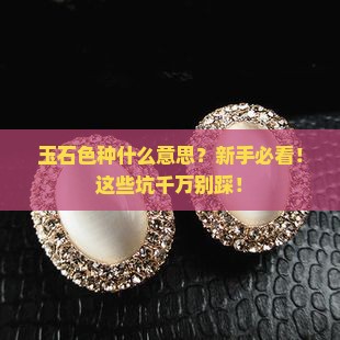 玉石色种什么意思