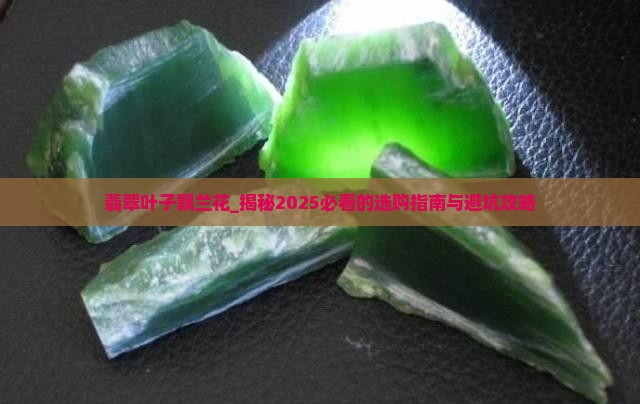翡翠叶子飘兰花