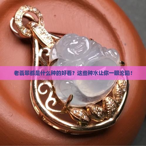 老翡翠都是什么种的好看一点