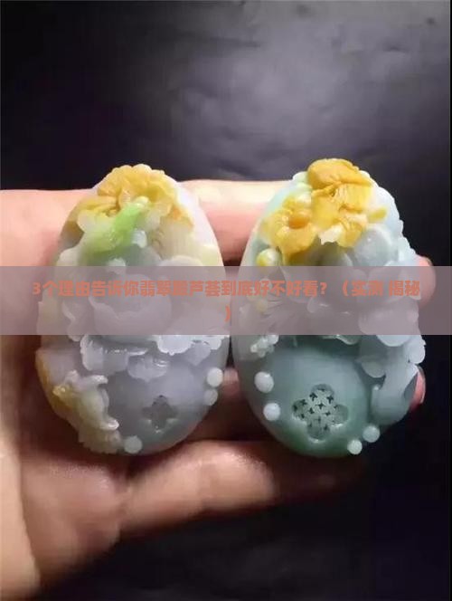 翡翠殿芦荟好看吗