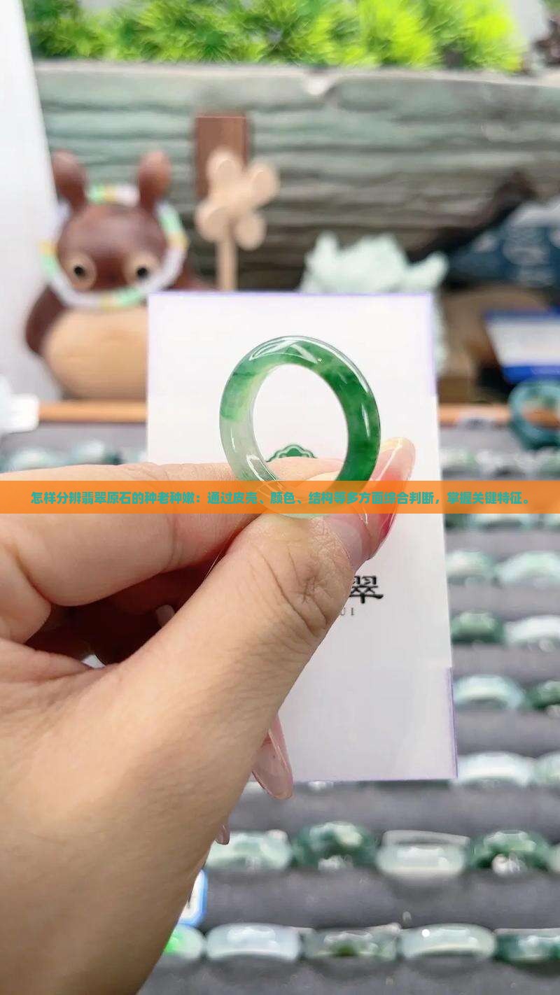 怎样分辨翡翠原石的种老种嫩